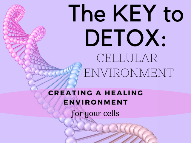 The Key to Detox: Cellular Environment
